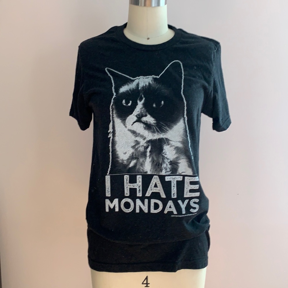 Grumpy Cat “I Hate Mondays” - image 1